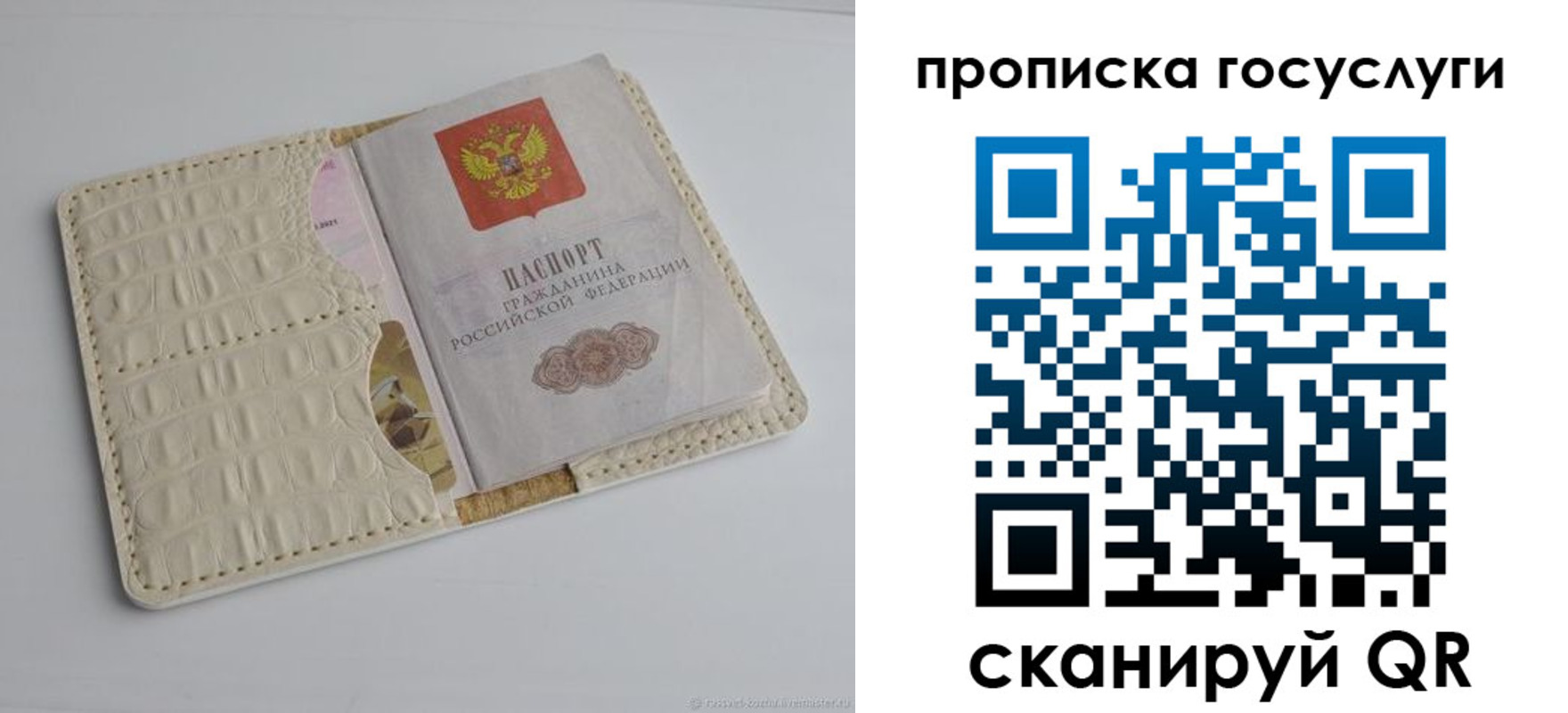 прописка законно в Димитровграде